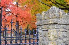 an iron gate in front of a stone wall and trees with orange leaves on it