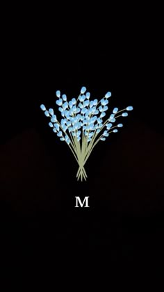 a bunch of blue flowers sitting on top of a black table next to the letter m