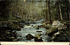 a river running through a forest filled with rocks