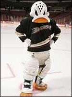 a hockey player is standing on the ice