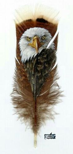 an eagle feather with a knife sticking out of it