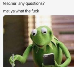 kermie the frog holding a cell phone and pointing at it with caption that reads, i hate when someone in my class is like omg