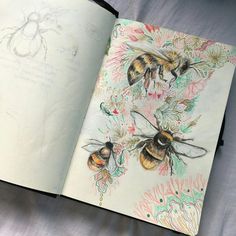 an open book with drawings of bees and flowers on the pages, sitting on a bed