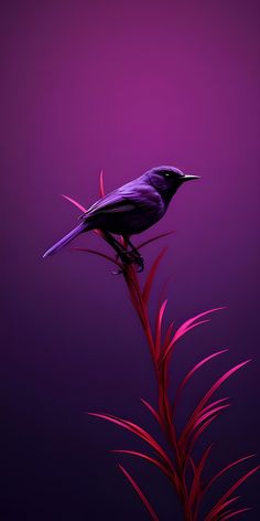 a black bird sitting on top of a purple plant