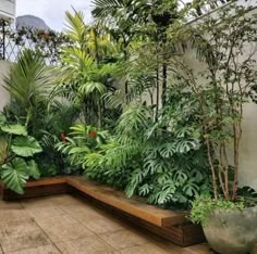 an outdoor garden with lots of plants and trees on the side of the building,