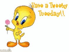 Happy Tuesday Tweety