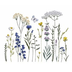 an image of flowers and butterflies on a white background with the words, wildflowers