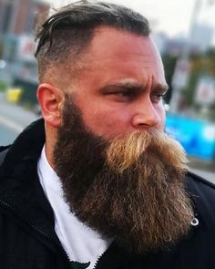 490 Beard Gallery ideas | beard, hair and beard styles, beard styles