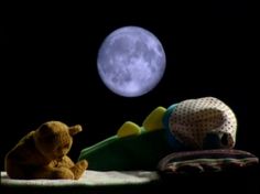 a teddy bear sitting on top of a blanket next to a stuffed animal in front of the moon