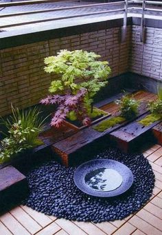 an outdoor patio with wooden benches and plants on the ground, surrounded by graveled stones