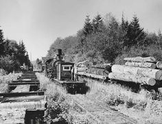 black and white photograph of an old train traveling through the woods with logs on the tracks