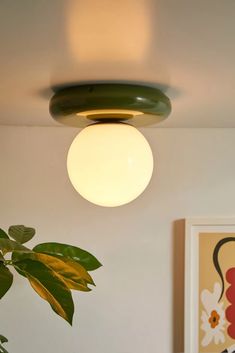 a white light hanging from the ceiling above a potted plant