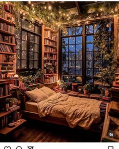 a bedroom with lots of bookshelves and plants