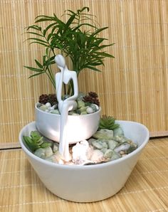 a white bowl with rocks and plants in it