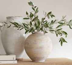 two white vases with green plants in them on a table next to a book