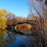 a bridge over a body of water surrounded by trees and grass with fall colors in the background