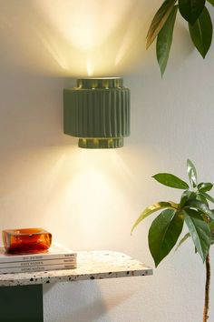 a lamp that is on the side of a wall next to a potted plant