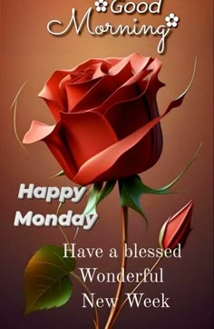 a red rose with the words happy monday have a blessed wonderful new week on it