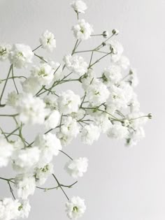 a vase filled with white flowers on top of a table