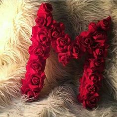 the letter n is made out of red roses