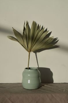 a green vase with a plant in it