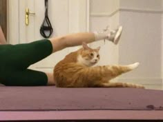 a woman laying on top of a bed with an orange cat in front of her