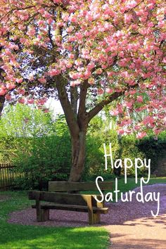 a park bench under a tree with pink flowers