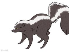 two skunks are walking side by side