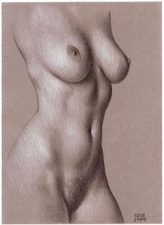 a pencil drawing of a nude woman's torso and breast, with no shirt on