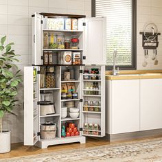 an open refrigerator in a kitchen next to a potted plant