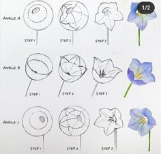 an image of flowers that are drawn on paper