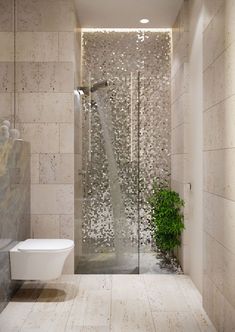 a bathroom with a glass shower door next to a toilet and plant in the corner