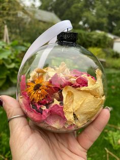 a hand holding a glass ornament filled with dried flowers