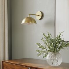 a potted plant sitting on top of a wooden dresser next to a wall light