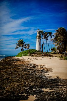 a light house sitting on top of a sandy beach next to the ocean with palm trees