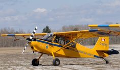 a small yellow airplane sitting on top of an airport tarmac with trees in the background