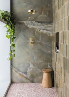 a bathroom with a plant on the wall next to it's shower stall and tiled walls