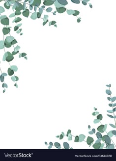 green leaves on white background with space for text