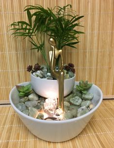 a white bowl filled with rocks and plants