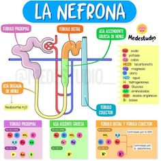 a diagram of the different types of medical devices in spanish and english, with instructions for each