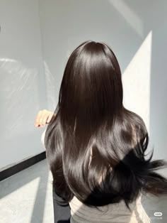 Glossy Hair Aesthetic, Japanese Brown Hair, Silky Hair Aesthetic, Dark Wonyoungism, Long Hair Korean, Straight Silky Hair, Silky Straight Hair, Soft Shiny Hair