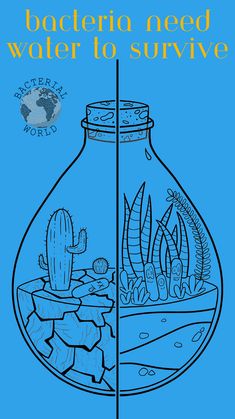 a blue poster with an image of a fish in a glass jar and the words, botteria need water to survive