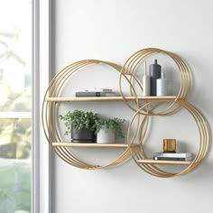 two circular shelves with plants and books on them in front of a white wall next to a window