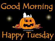 good morning happy tuesday with pumpkins