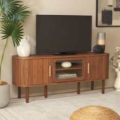 a flat screen tv sitting on top of a wooden entertainment center next to a potted plant