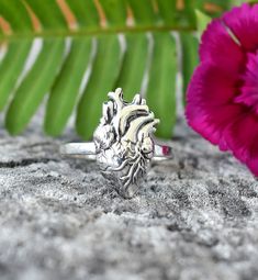 Anatomical Heart Ring Sterling Silver Heart Realistic Heart - Etsy Symbolic Heart-shaped Rings For Valentine's Day, Heart-shaped Engraved Sterling Silver Ring, Symbolic Heart-shaped Promise Ring, Sterling Silver Heart Ring For Valentine's Day, Adjustable Sterling Silver Heart Ring, Symbolic Heart Ring For Valentine's Day Gift, Sterling Silver Hypoallergenic Heart Ring For Anniversary, Unique Heart-shaped Stamped 925 Rings, Nickel-free Heart Ring For Anniversary