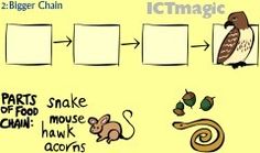 a cartoon depicting how to draw an animal's life cycle with pictures and words