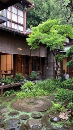 a house with lots of trees and plants in the front yard, surrounded by stepping stones