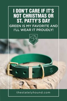 a green leather dog collar with the words, i don't care if it's not christmas or st patty's day