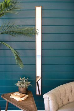 a living room with blue walls and a plant on a table next to the couch